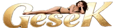 gesek info